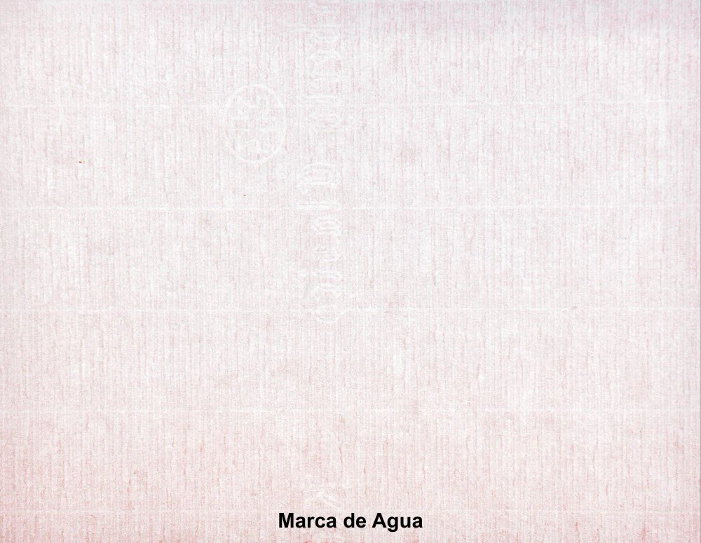 Bond Clásico Premier 45kg Rosa pastel 57×87 90g Scribe® [Hoja] - Image 2