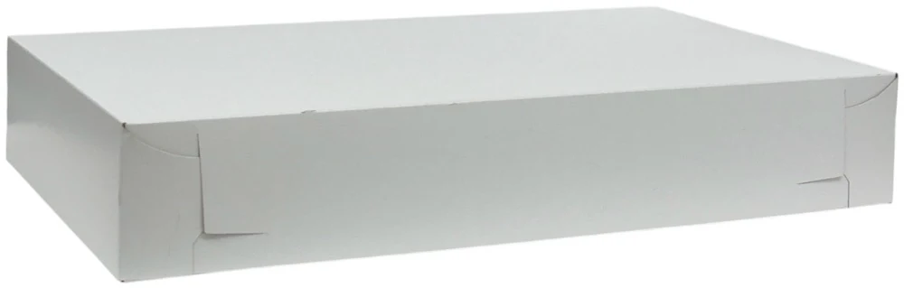 Caja Cartón Blanca 24×14×4" Sct® 2049 [Pieza]