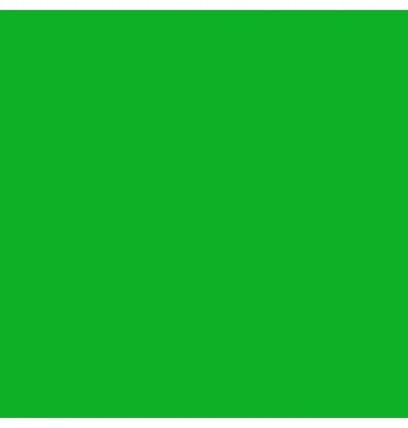 Cartulina Brights 176g Kelly Green 57×87cm Supra® [Hoja]