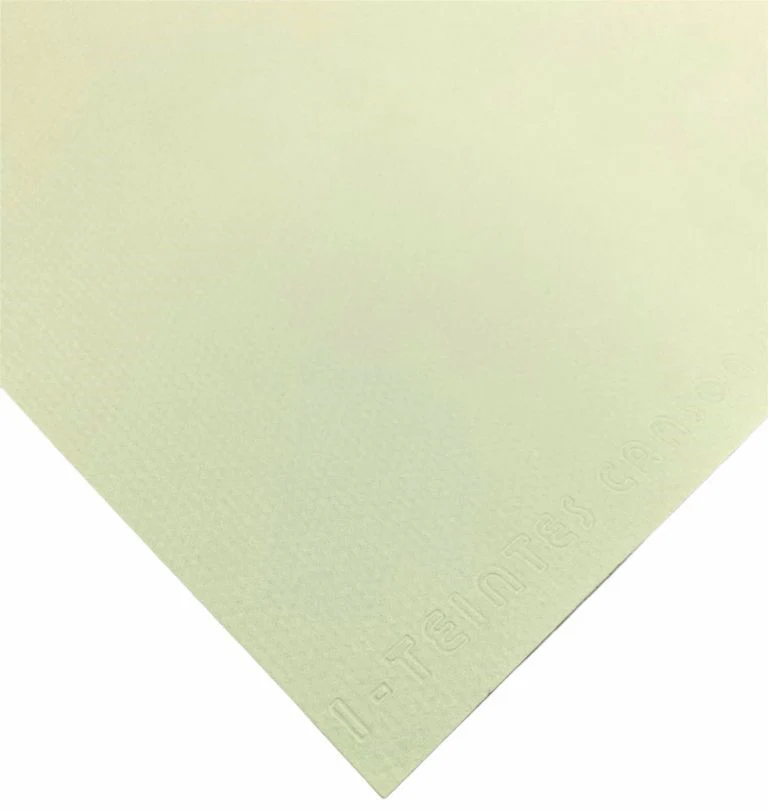 Cartulina Mi-Teintes®  160g Canson® [Hoja] - Image 42