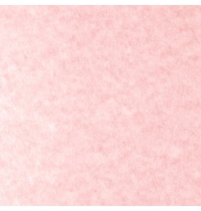 Cartulina Parchment  176g  58×88cm  Skytone Supra® [Hoja] - Image 6