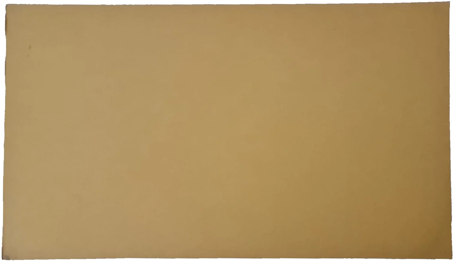 Cartulina Pressboard Proesa® [Hoja] - Image 20
