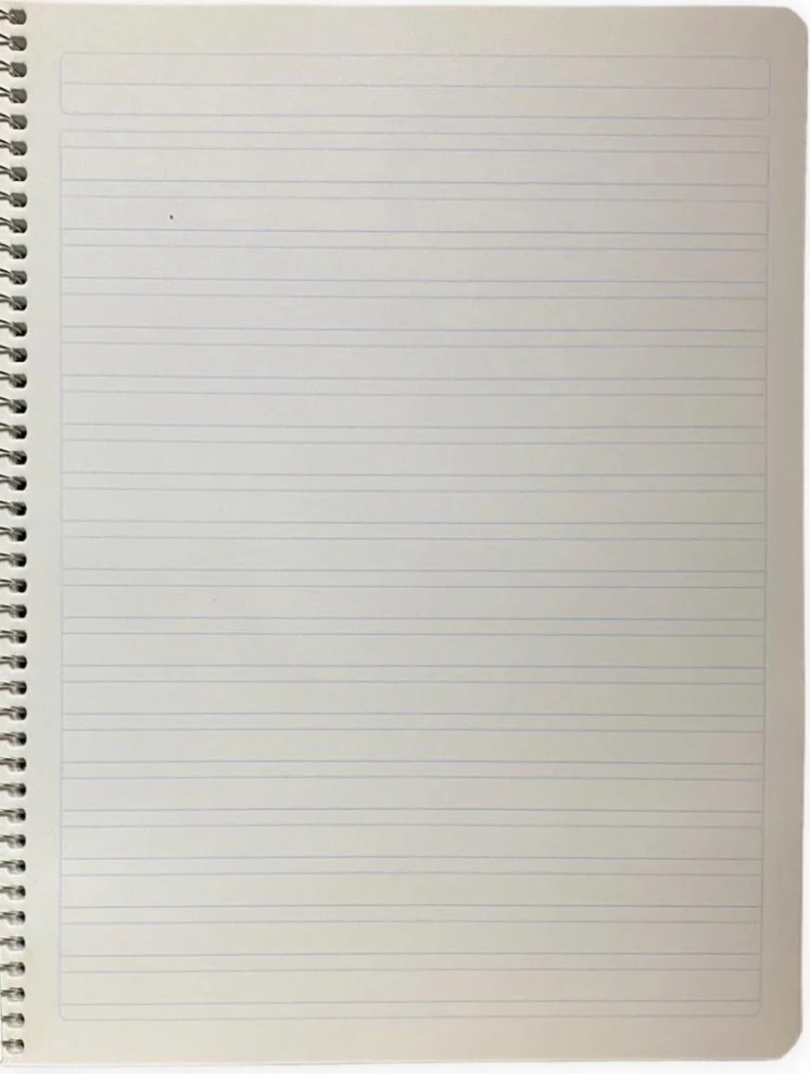 Cuaderno Profesional Espi 100 hojas Espiral Cubierta Plástico Scribe® [Pieza] - Image 6