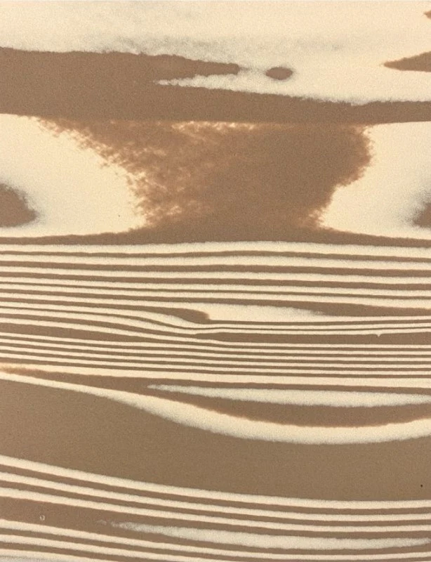 Foamy Carta Barrilito® [Pieza] - Image 15