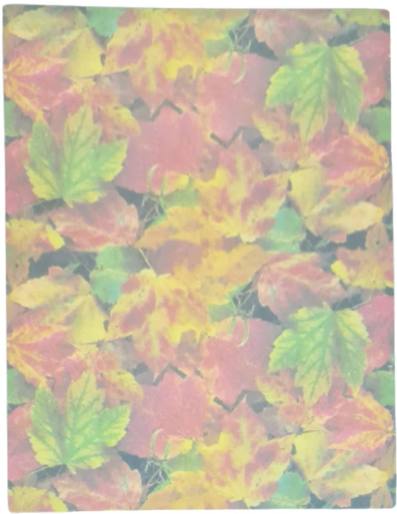 Hoja Decorada  c/25  Carta Kalex® [Paquete] - Image 12