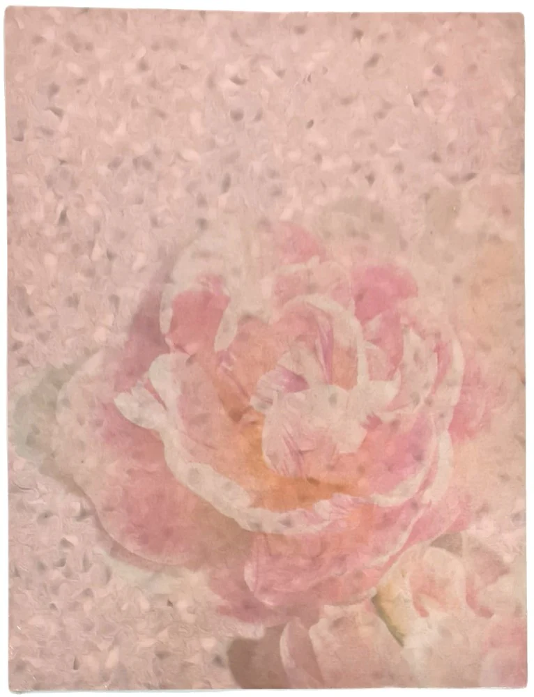 Hoja Decorada  c/25  Carta Kalex® [Paquete] - Image 18