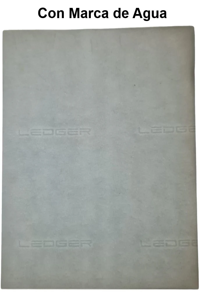 Ledger Scribe® [Hoja] - Image 8
