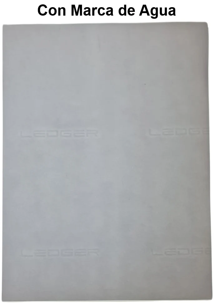 Ledger Scribe® [Hoja] - Image 9