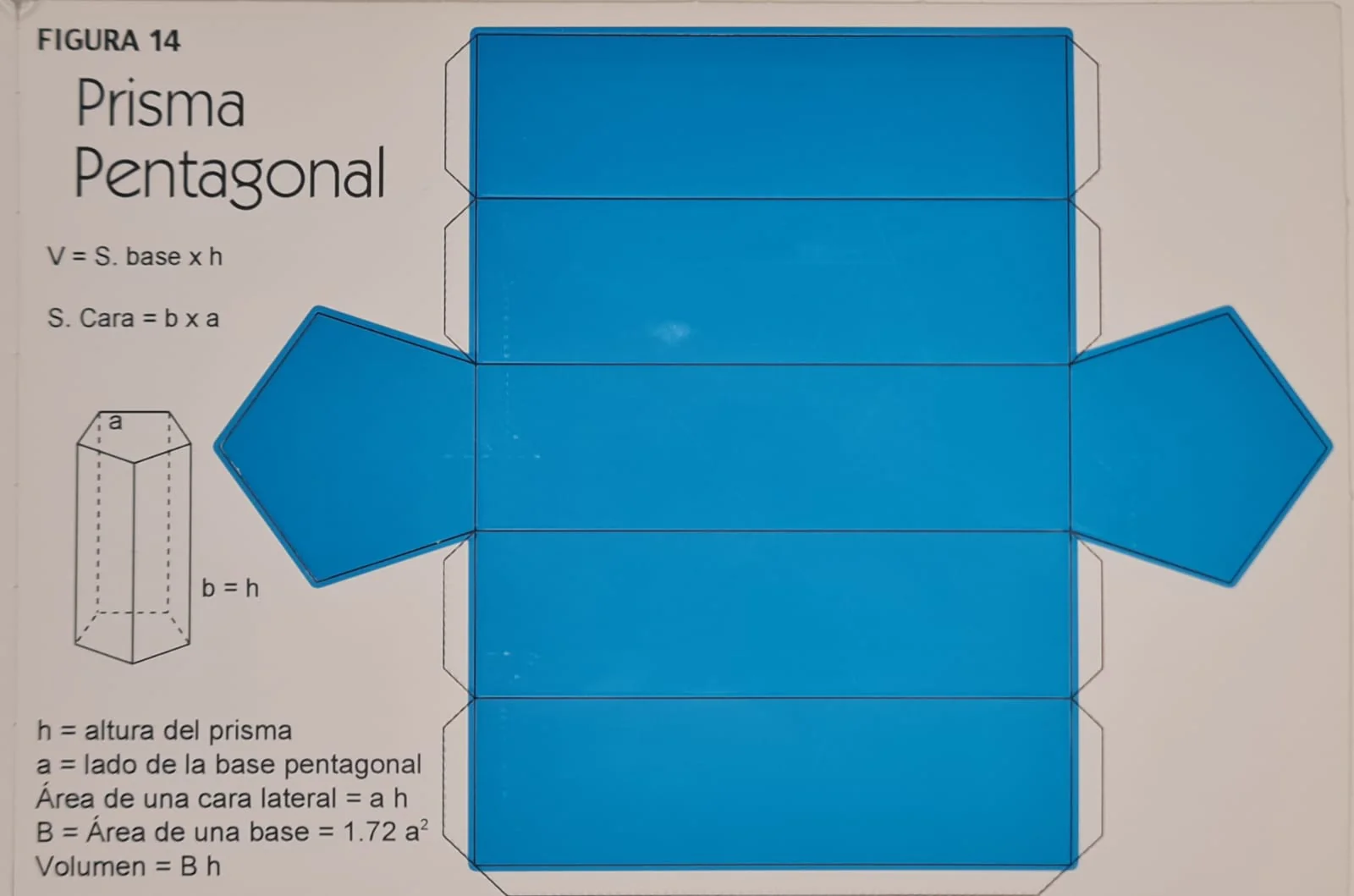 Material Didáctico Cuerpos Geométricos Armab c/20 Neón 15.5×22.5 Novedactic® A011 [Pieza] - Image 15