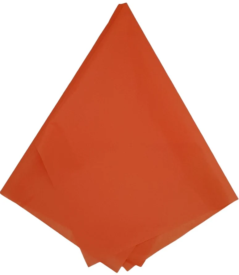 Papel China  75×50cm Colibrí® [Cien hojas] - Image 27