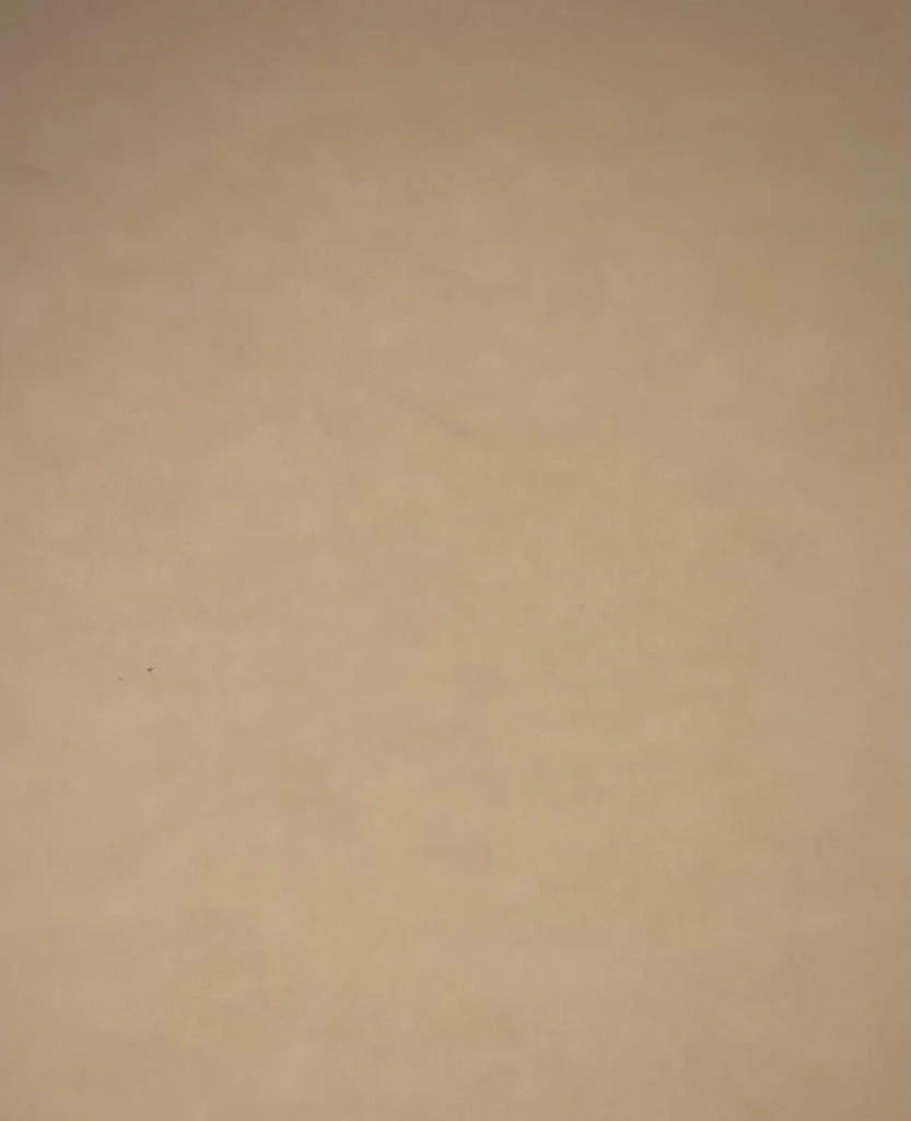Papel Curious Translucent  c/100 Carta 100g Arjowiggins® [Cien hojas] - Image 15