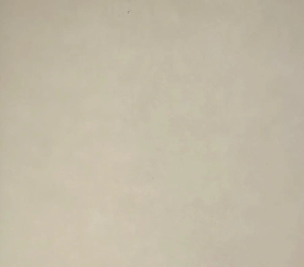 Papel Curious Translucent  c/100 Carta 100g Arjowiggins® [Cien hojas] - Image 23
