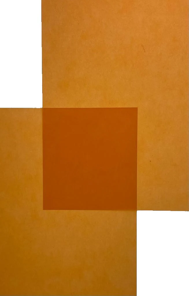 Papel Curious Translucent Cartulina Trasluz  70×100cm Arjowiggins® [Hoja] - Image 16
