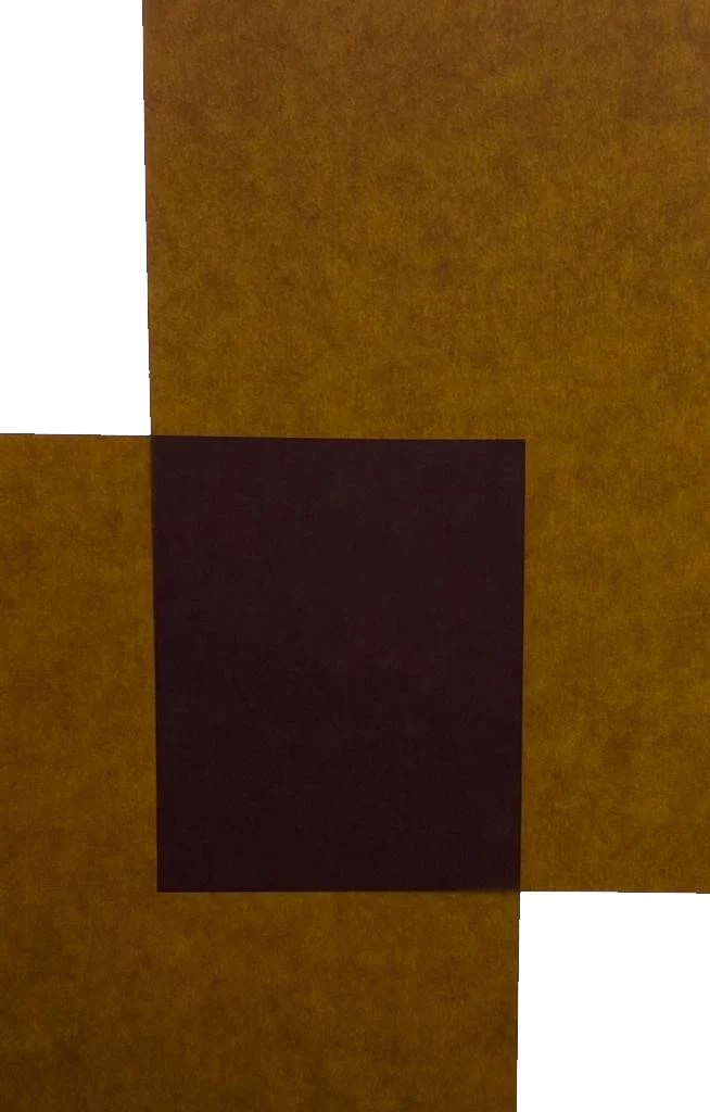 Papel Curious Translucent Cartulina Trasluz  70×100cm Arjowiggins® [Hoja] - Image 2