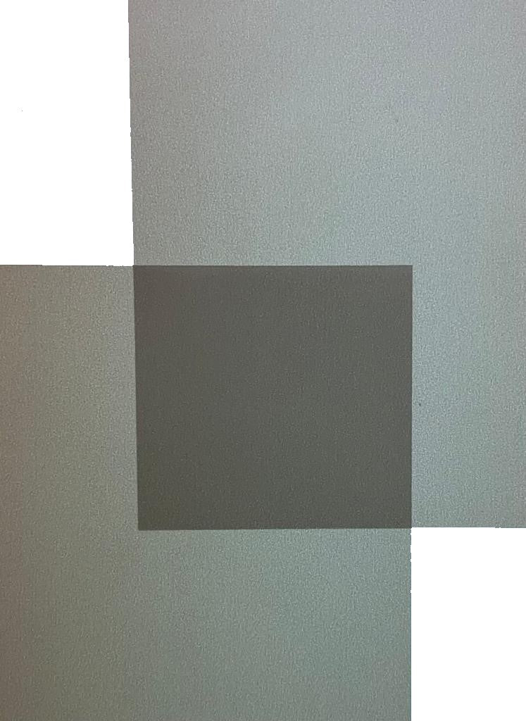 Papel Curious Translucent Cartulina Trasluz  70×100cm Arjowiggins® [Hoja] - Image 24