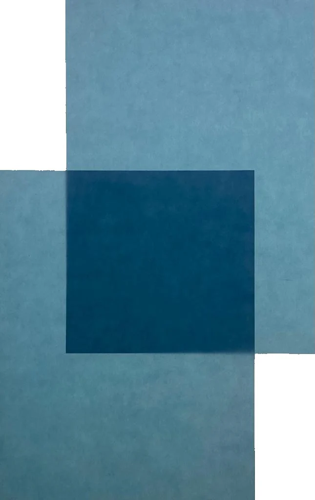 Papel Curious Translucent Cartulina Trasluz  70×100cm Arjowiggins® [Hoja] - Image 29
