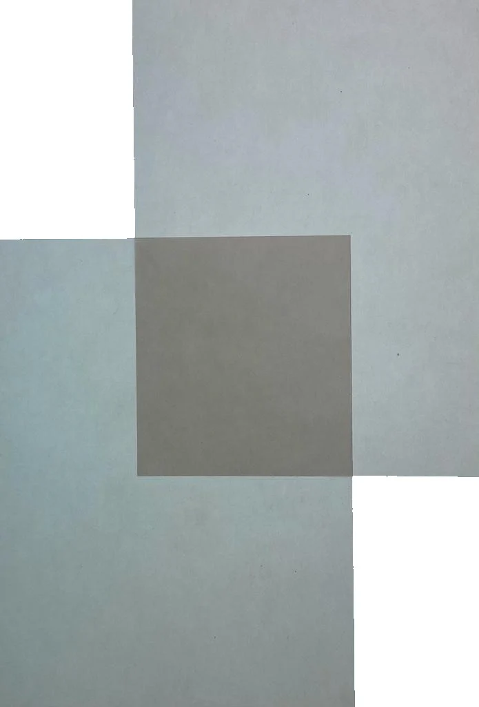 Papel Curious Translucent Cartulina Trasluz  70×100cm Arjowiggins® [Hoja] - Image 3