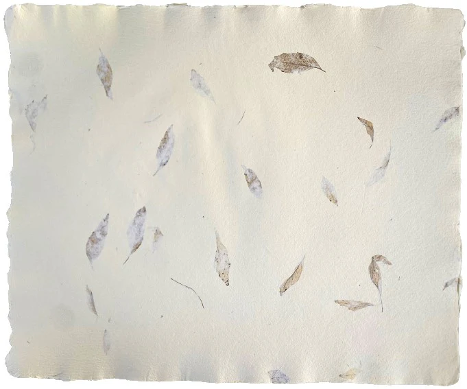 Papel Hecho Mano Nattura®/La Ceiba® [Hoja] - Image 56