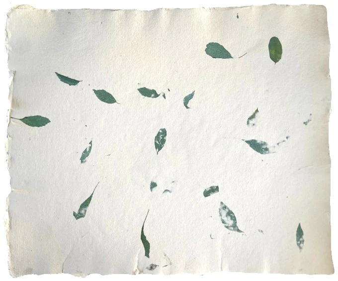 Papel Hecho Mano Nattura®/La Ceiba® [Hoja] - Image 59