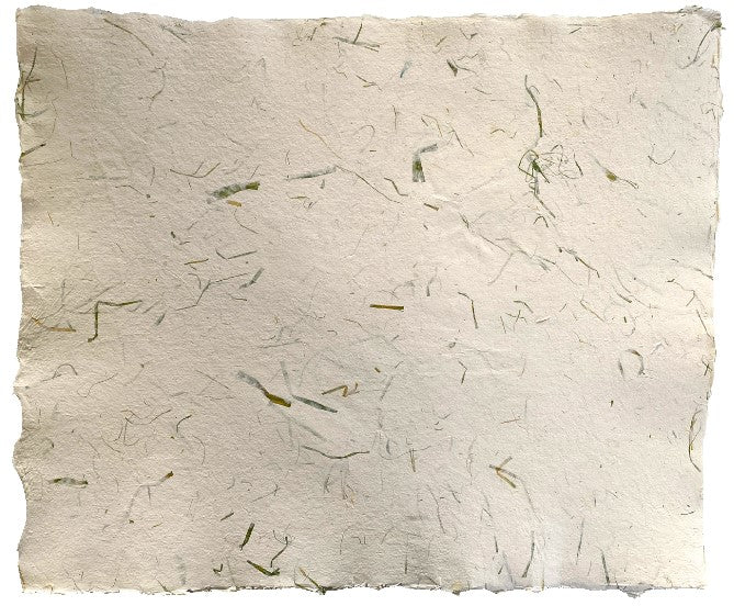 Papel Hecho Mano Nattura®/La Ceiba® [Hoja] - Image 64