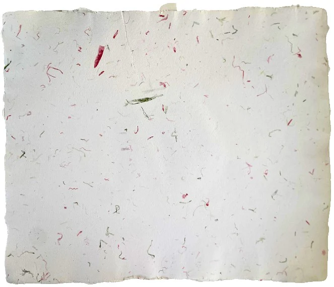 Papel Hecho Mano Nattura®/La Ceiba® [Hoja] - Image 65