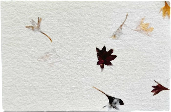 Papel Hecho ManoTarjeta  7.5×11.5cm La Ceiba®/Nattura® [Hoja] - Image 2