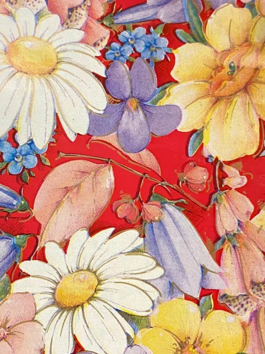 Papel p/Regalo Paquete  c/25  70×49.5cm Colors® [Paquete] - Image 12