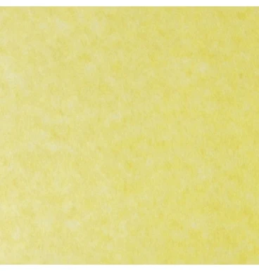 Papel Parchment  90g  Skytone Supra® [Hoja] - Image 2