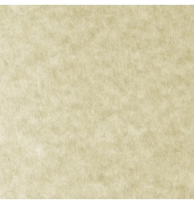 Papel Parchment  90g  Skytone Supra® [Hoja] - Image 3