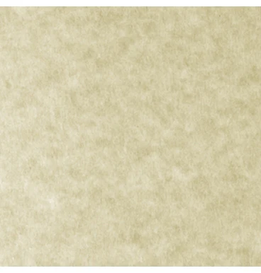 Papel Parchment  90g  Skytone Supra® [Hoja] - Image 4