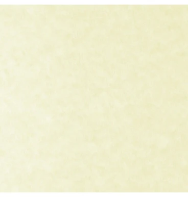 Papel Parchment  90g  Skytone Supra® [Hoja] - Image 5