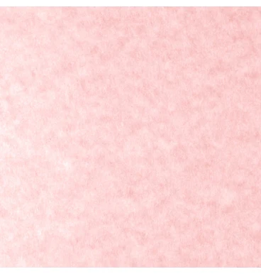 Papel Parchment  90g  Skytone Supra® [Hoja] - Image 6