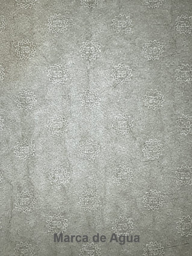 Papel Seguridad  90g Copamex® [Hoja] - Image 7