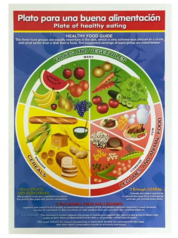 Póster Didáctico 48×69cm 50×70cm 70×50cm granmark® [Pieza] - Image 101
