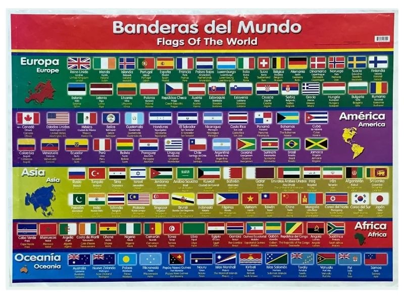 Póster Didáctico 48×69cm 50×70cm 70×50cm granmark® [Pieza] - Image 13