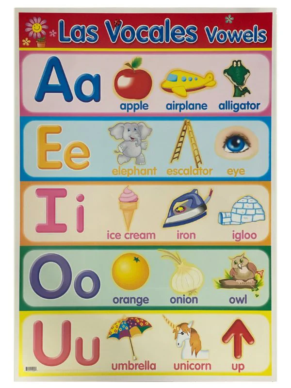 Póster Didáctico 48×69cm 50×70cm 70×50cm granmark® [Pieza] - Image 131