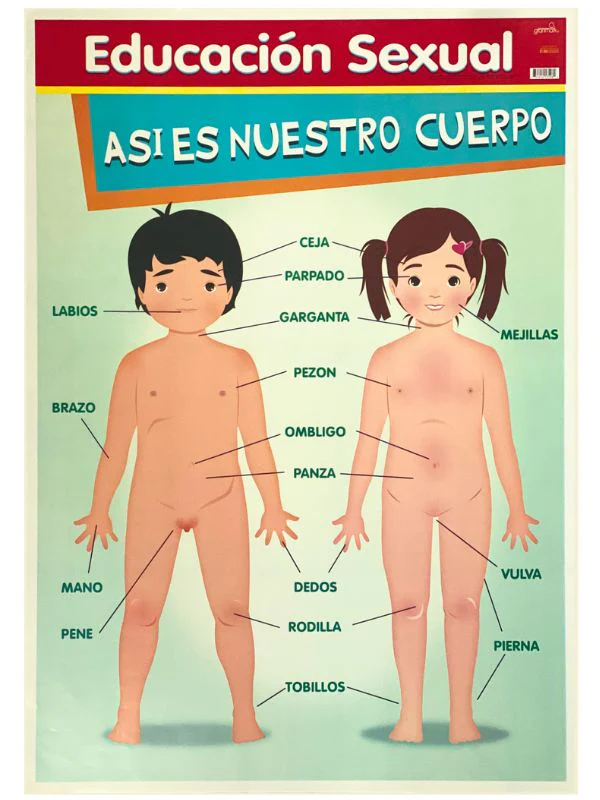 Póster Didáctico 48×69cm 50×70cm 70×50cm granmark® [Pieza] - Image 26