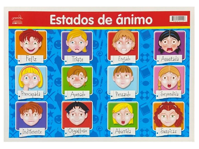 Póster Didáctico 48×69cm 50×70cm 70×50cm granmark® [Pieza] - Image 37