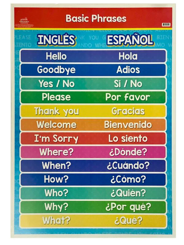 Póster Didáctico 48×69cm 50×70cm 70×50cm granmark® [Pieza] - Image 45