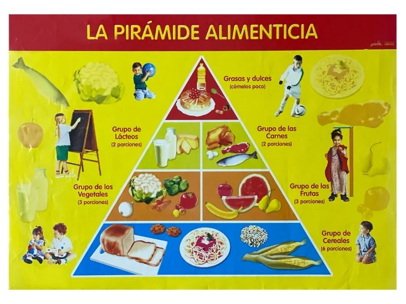 Póster Didáctico 48×69cm 50×70cm 70×50cm granmark® [Pieza] - Image 57