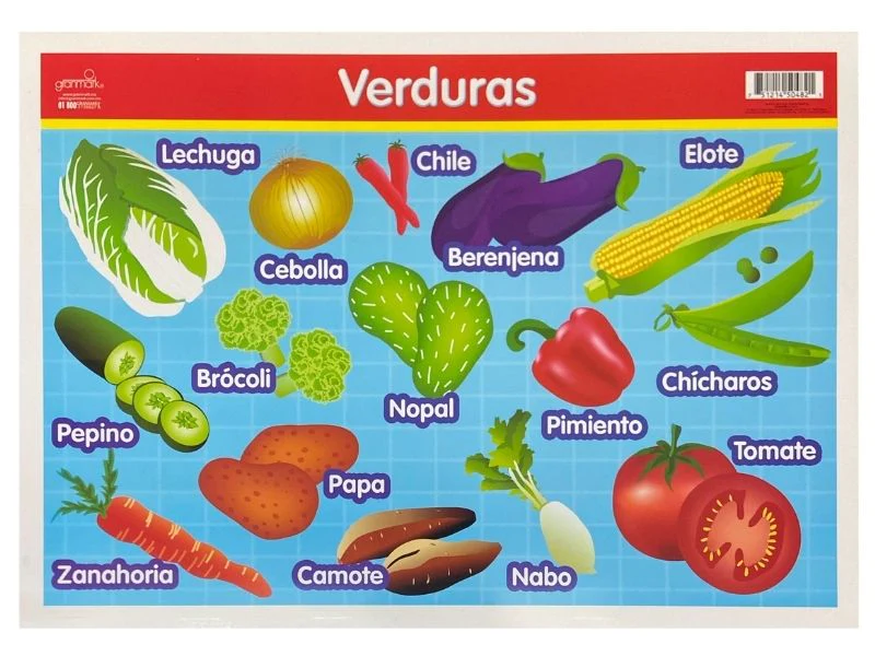 Póster Didáctico 48×69cm 50×70cm 70×50cm granmark® [Pieza] - Image 68