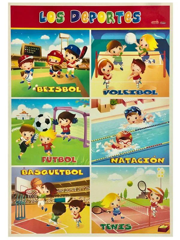 Póster Didáctico 48×69cm 50×70cm 70×50cm granmark® [Pieza] - Image 74