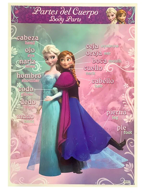 Póster Didáctico 48×69cm 50×70cm 70×50cm granmark® [Pieza] - Image 97