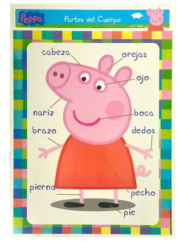 Póster Didáctico 48×69cm 50×70cm 70×50cm granmark® [Pieza] - Image 98
