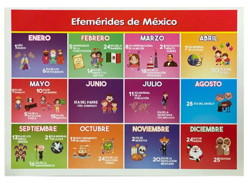 Póster Didáctico Mini 25×35cm 35×25cm granmark® [Pieza] - Image 13
