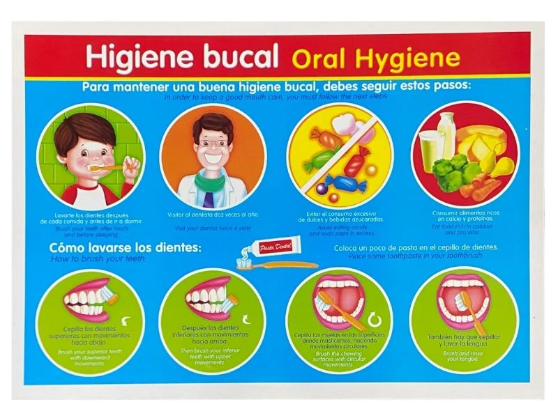 Póster Didáctico Mini 25×35cm 35×25cm granmark® [Pieza] - Image 27