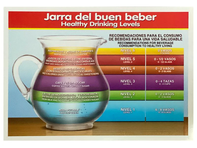 Póster Didáctico Mini 25×35cm 35×25cm granmark® [Pieza] - Image 31