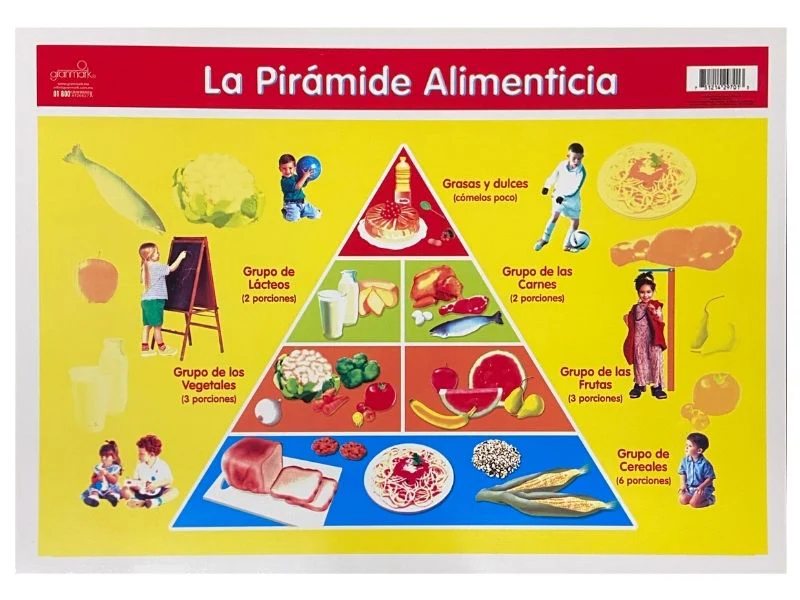 Póster Didáctico Mini 25×35cm 35×25cm granmark® [Pieza] - Image 34