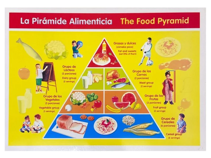Póster Didáctico Mini 25×35cm 35×25cm granmark® [Pieza] - Image 35