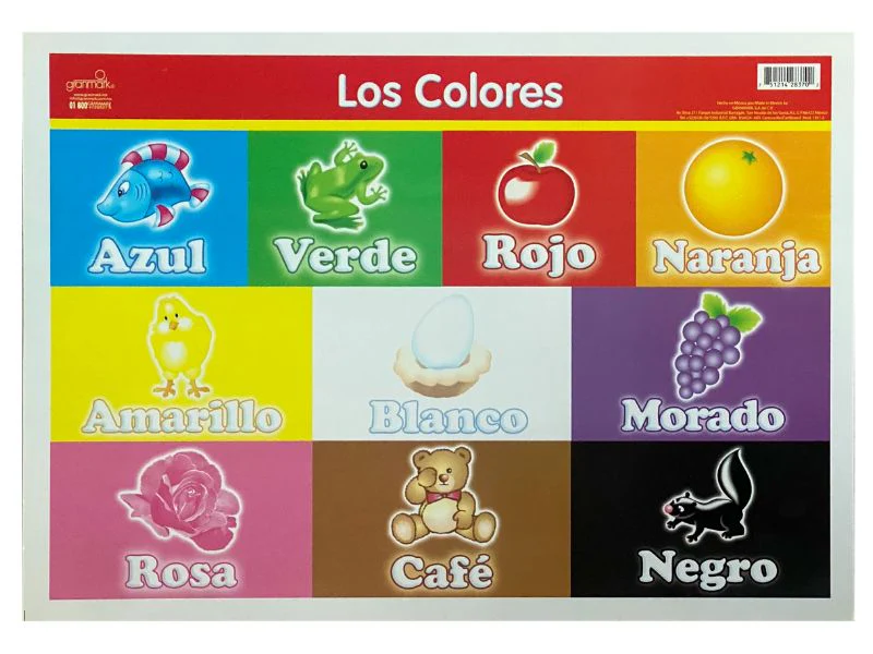 Póster Didáctico Mini 25×35cm 35×25cm granmark® [Pieza] - Image 38